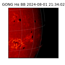 gong - 2024-08-01T21:34:02