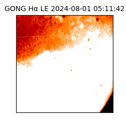 gong - 2024-08-01T05:11:42