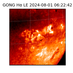 gong - 2024-08-01T06:22:42