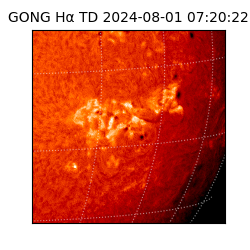 gong - 2024-08-01T07:20:22