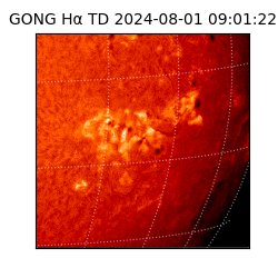 gong - 2024-08-01T09:01:22