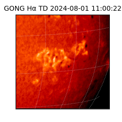 gong - 2024-08-01T11:00:22