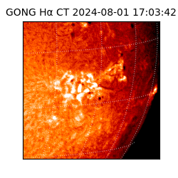 gong - 2024-08-01T17:03:42