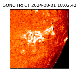 gong - 2024-08-01T18:02:42