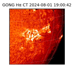 gong - 2024-08-01T19:00:42