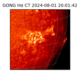 gong - 2024-08-01T20:01:42