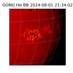 gong - 2024-08-01T21:34:02