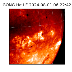 gong - 2024-08-01T06:22:42