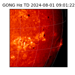 gong - 2024-08-01T09:01:22