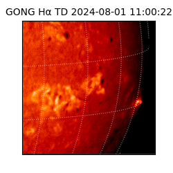 gong - 2024-08-01T11:00:22