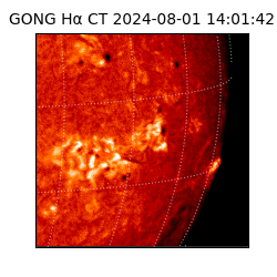 gong - 2024-08-01T14:01:42