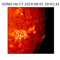 gong - 2024-08-01T20:01:42