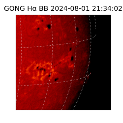 gong - 2024-08-01T21:34:02