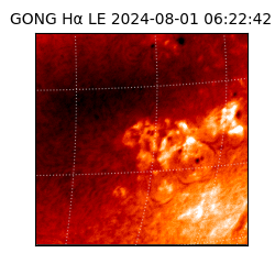 gong - 2024-08-01T06:22:42