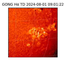 gong - 2024-08-01T09:01:22