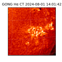 gong - 2024-08-01T14:01:42