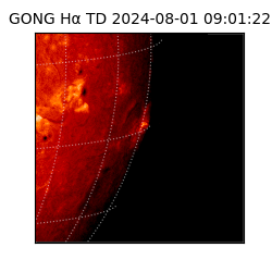 gong - 2024-08-01T09:01:22