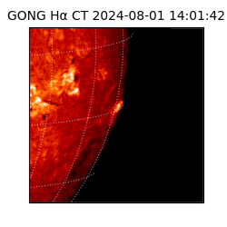 gong - 2024-08-01T14:01:42