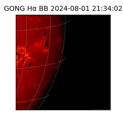 gong - 2024-08-01T21:34:02