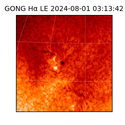 gong - 2024-08-01T03:13:42