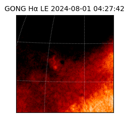 gong - 2024-08-01T04:27:42