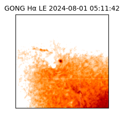 gong - 2024-08-01T05:11:42