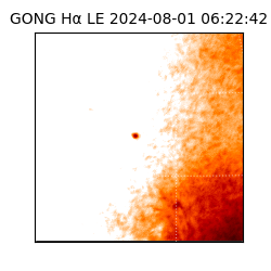 gong - 2024-08-01T06:22:42