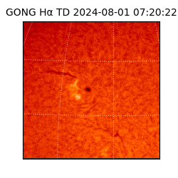 gong - 2024-08-01T07:20:22