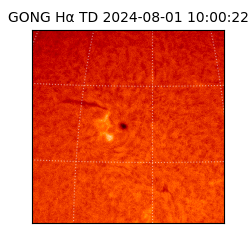 gong - 2024-08-01T10:00:22