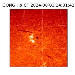 gong - 2024-08-01T14:01:42