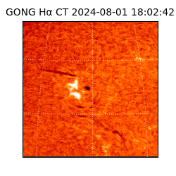 gong - 2024-08-01T18:02:42