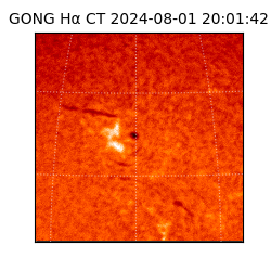 gong - 2024-08-01T20:01:42