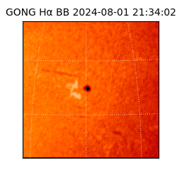 gong - 2024-08-01T21:34:02