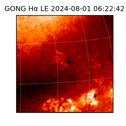 gong - 2024-08-01T06:22:42