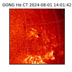 gong - 2024-08-01T14:01:42