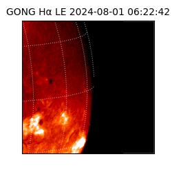 gong - 2024-08-01T06:22:42