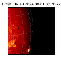 gong - 2024-08-01T07:20:22