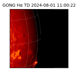 gong - 2024-08-01T11:00:22