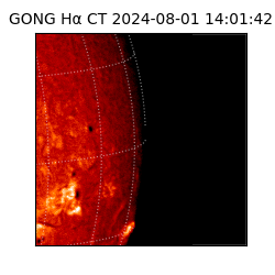 gong - 2024-08-01T14:01:42