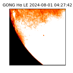 gong - 2024-08-01T04:27:42