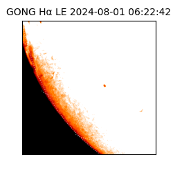 gong - 2024-08-01T06:22:42