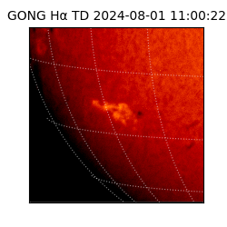 gong - 2024-08-01T11:00:22