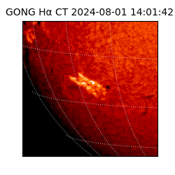 gong - 2024-08-01T14:01:42