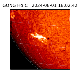 gong - 2024-08-01T18:02:42