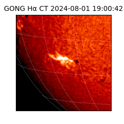 gong - 2024-08-01T19:00:42