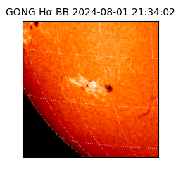 gong - 2024-08-01T21:34:02