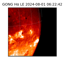 gong - 2024-08-01T06:22:42