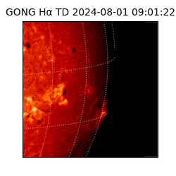 gong - 2024-08-01T09:01:22