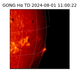 gong - 2024-08-01T11:00:22