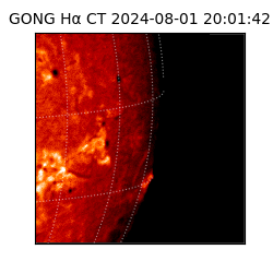 gong - 2024-08-01T20:01:42